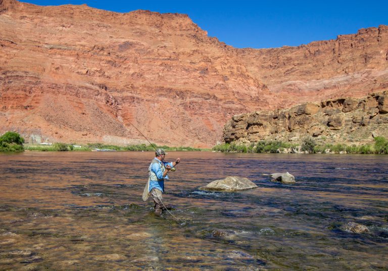 How to Get Your Arizona Fishing License in 2024
