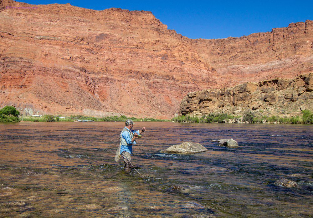 Arizona Fishing