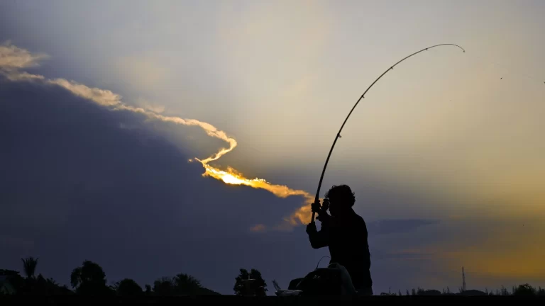 How to Get a Fishing License in Illinois 2024