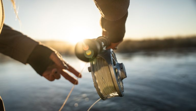 How to Get a Fishing License in Nevada 2024