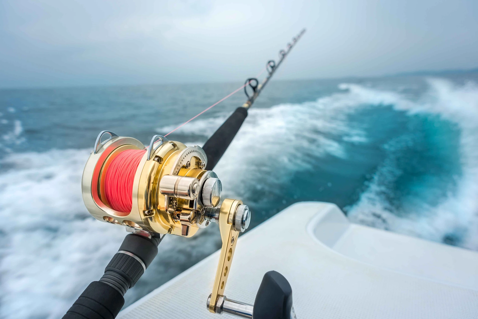 How Much is a Fishing License in Delaware