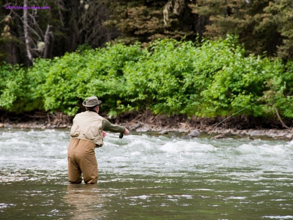 Obtaining a Montana Fishing License