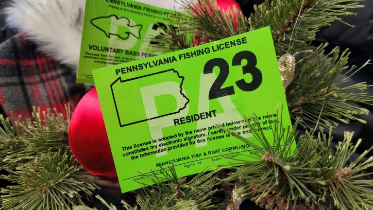 2024 Pennsylvania Fishing License: 7 Insider Tips for Hassle-Free Angling