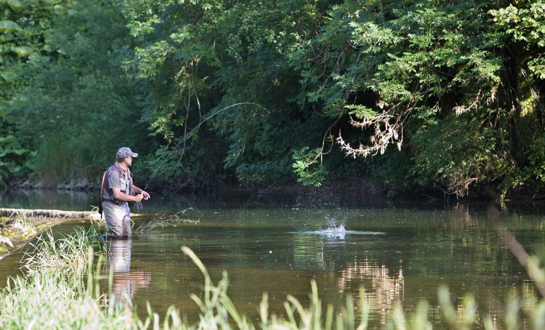 Alabama's Freshwater vs. Saltwater Fishing License Requirements