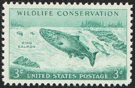 Understanding Alaska’s King Salmon Stamp and When It’s Needed