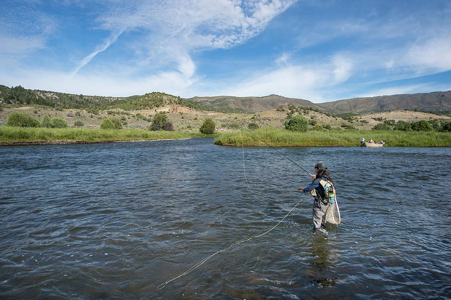 Arkansas Commercial Fishing Licenses