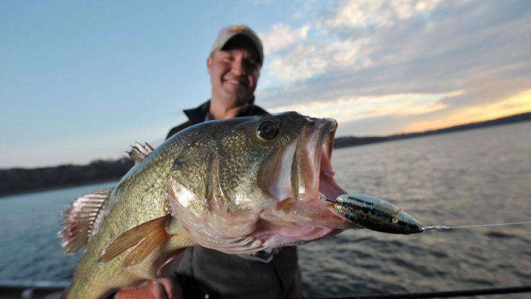 Unlock Lifetime Arkansas Fishing for Only $10.50 – 65+ License Benefits