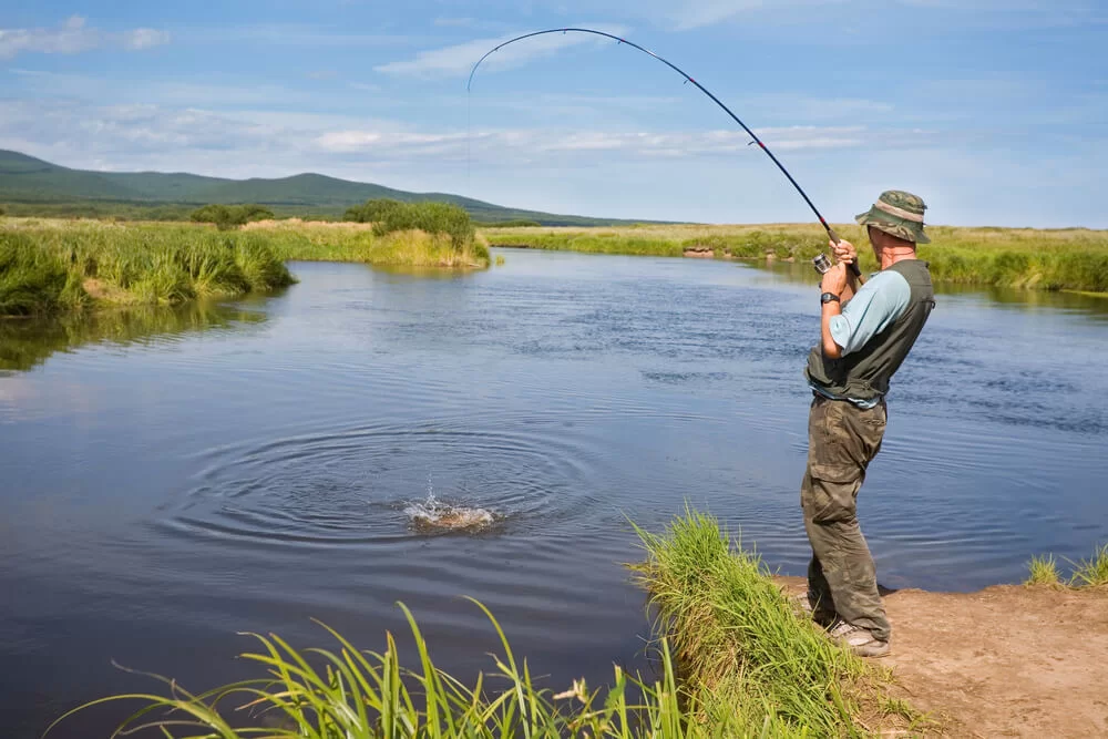 Best Fishing Spots in Florida