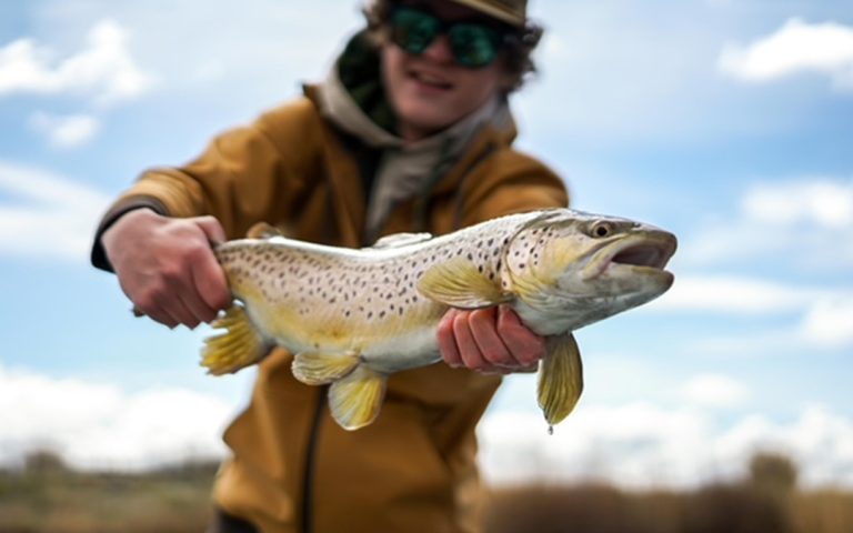 Discounts and Fee Waivers for Colorado Fishing Licenses