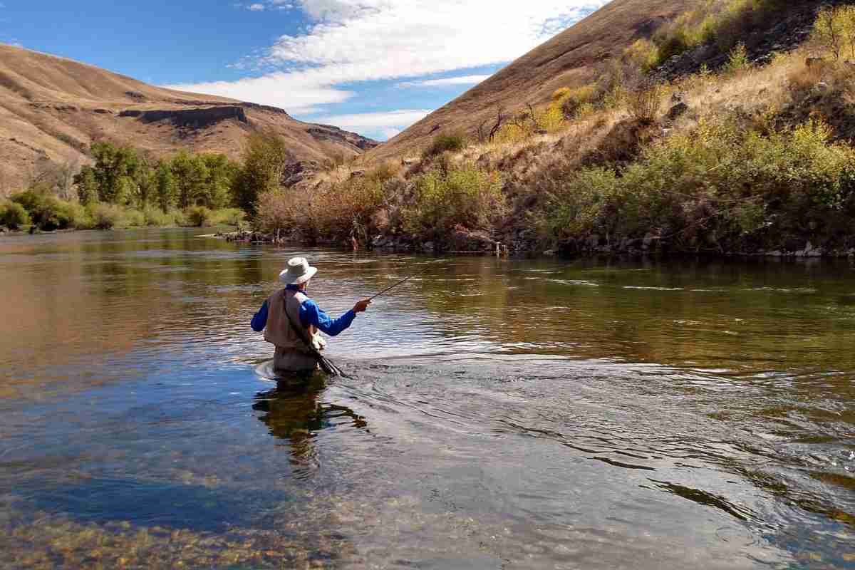 Fishing License in Arkansas