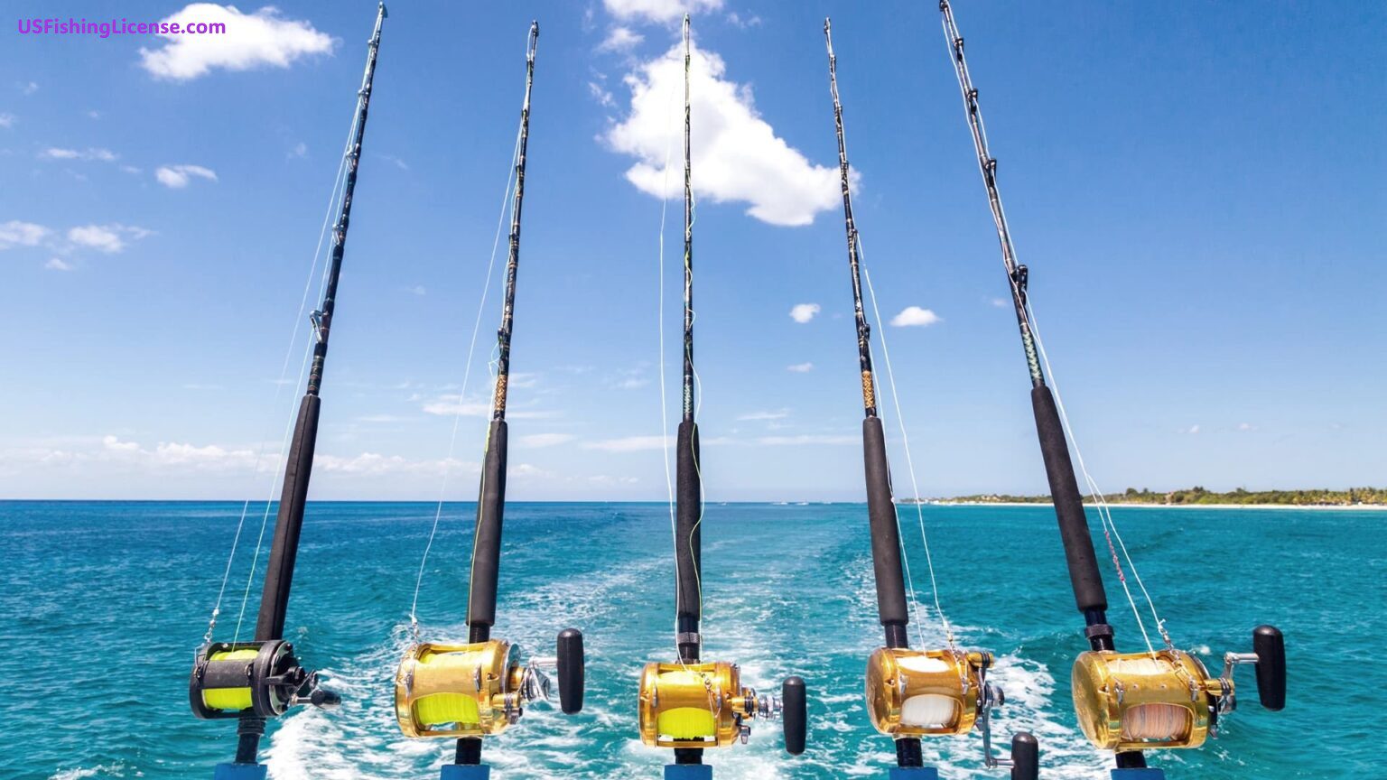 How Much is a Fishing License in Maine