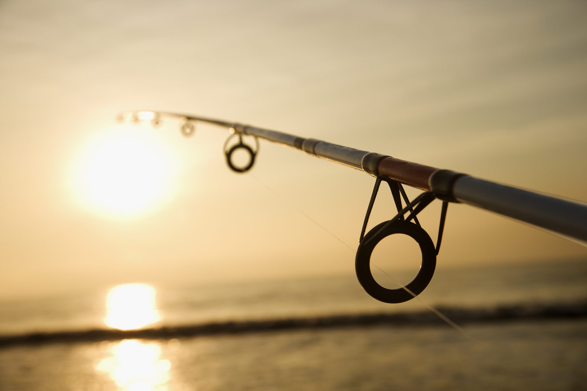 Fishing pole at sunset.