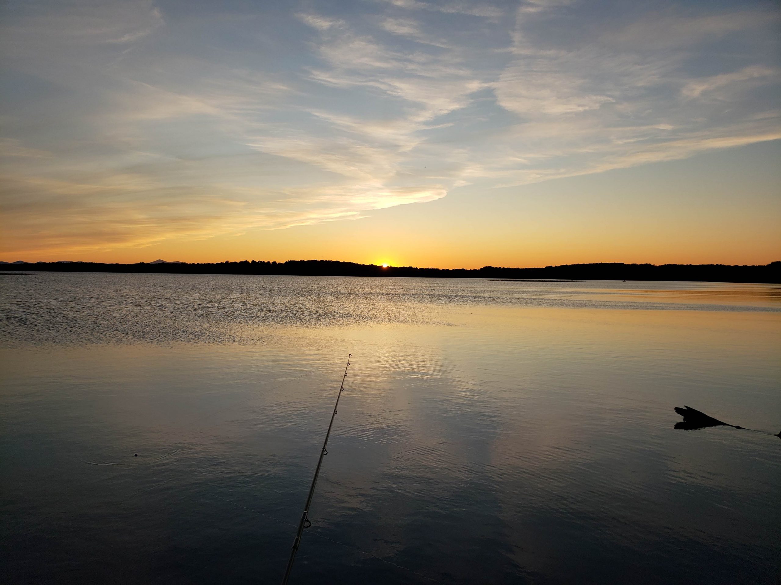 How Much is a Fishing License in Virginia