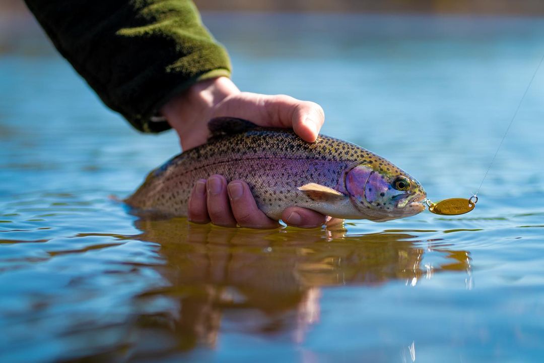 In Person Options for Purchasing Colorado Fishing Licenses