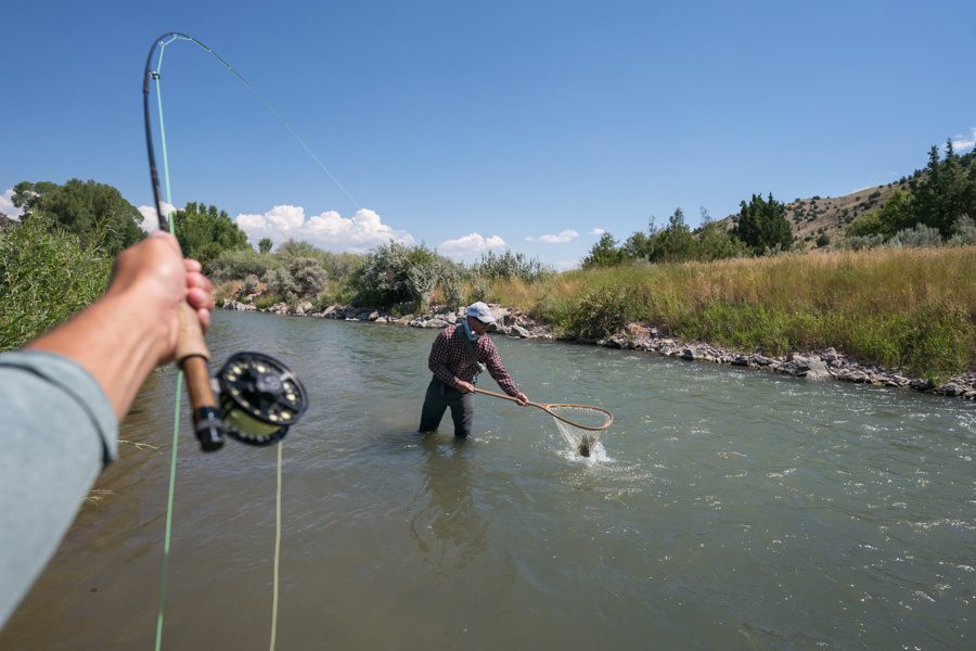 Trout Permit in Arkansas