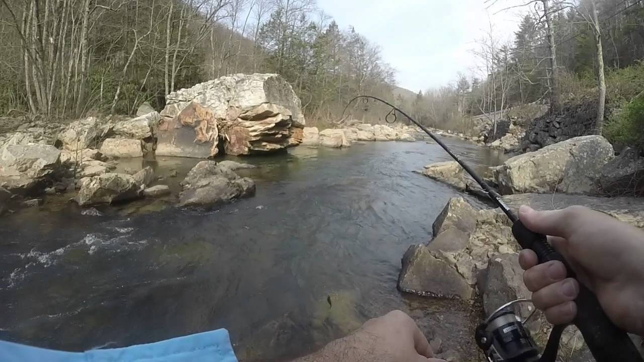 West Virginia Fishing