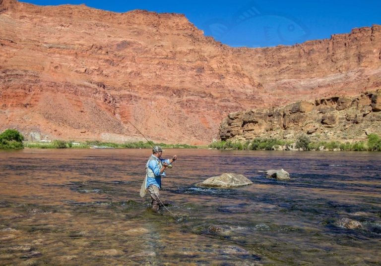 Ultimate Guide to the Best Fishing Spots in Arizona 2024
