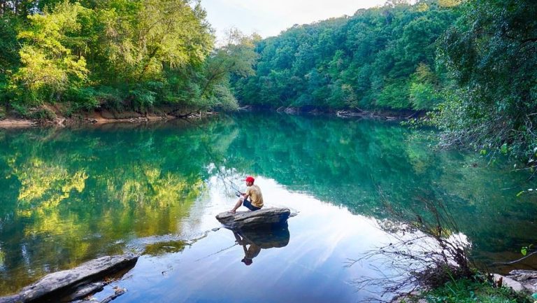 Ultimate Guide to the Best Fishing Spots in Georgia 2024