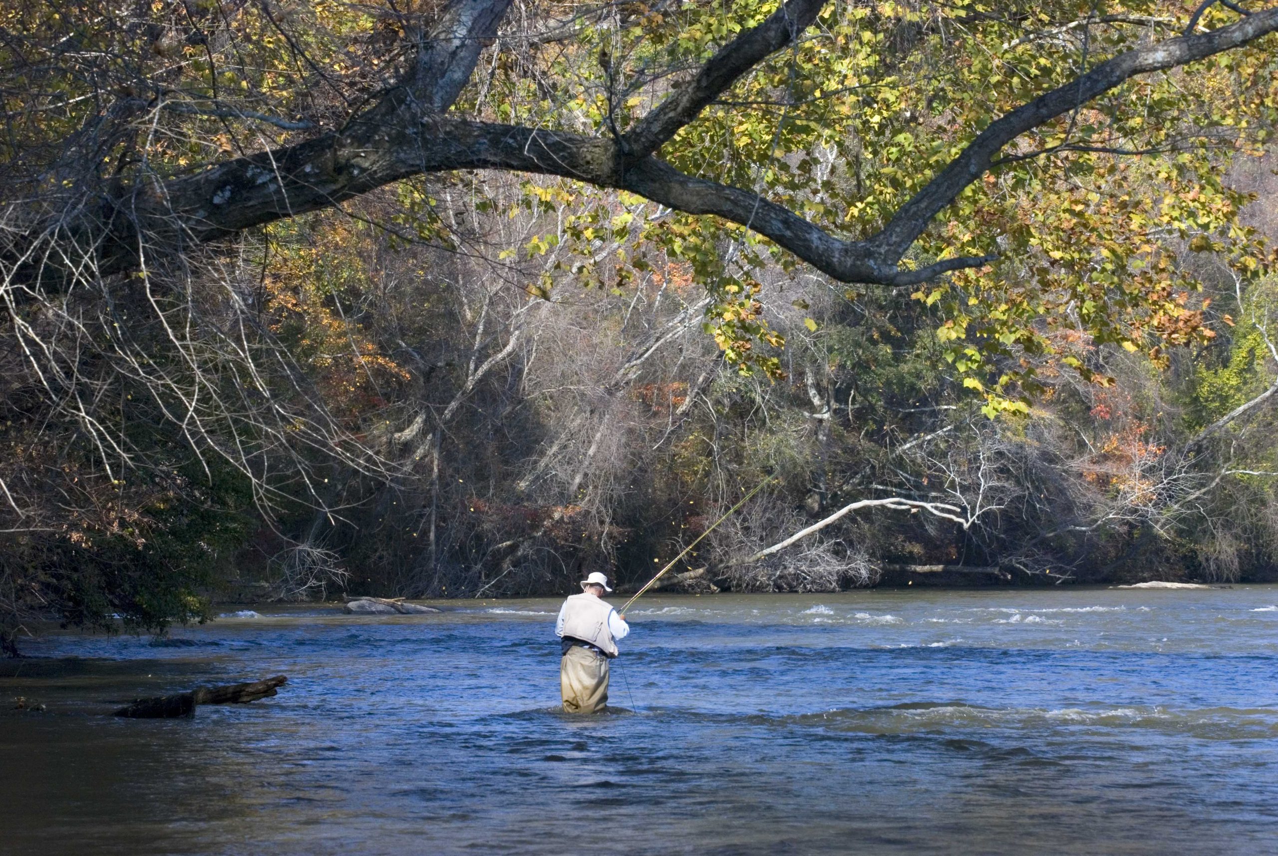 Chewalla Creek