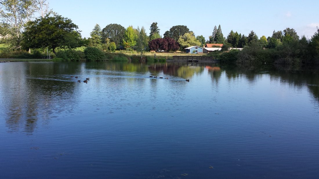 Commonwealth Lake Park Beaverton