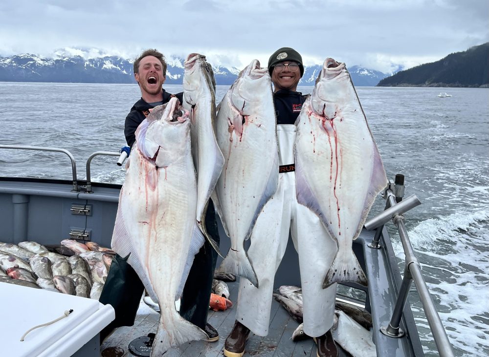Halibut fishing in Alaska