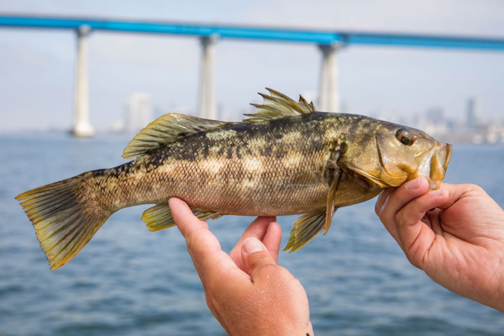 San Diego Bay