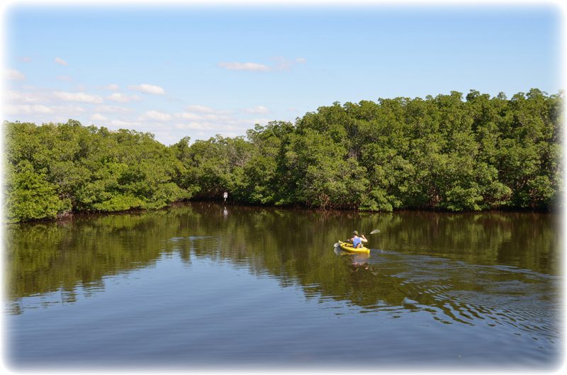 Weedon Island Preserve