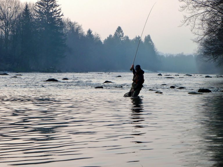 Fly Fishing for Beginners: Licenses and Essential Gear
