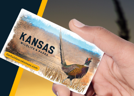 Kansas Fishing License