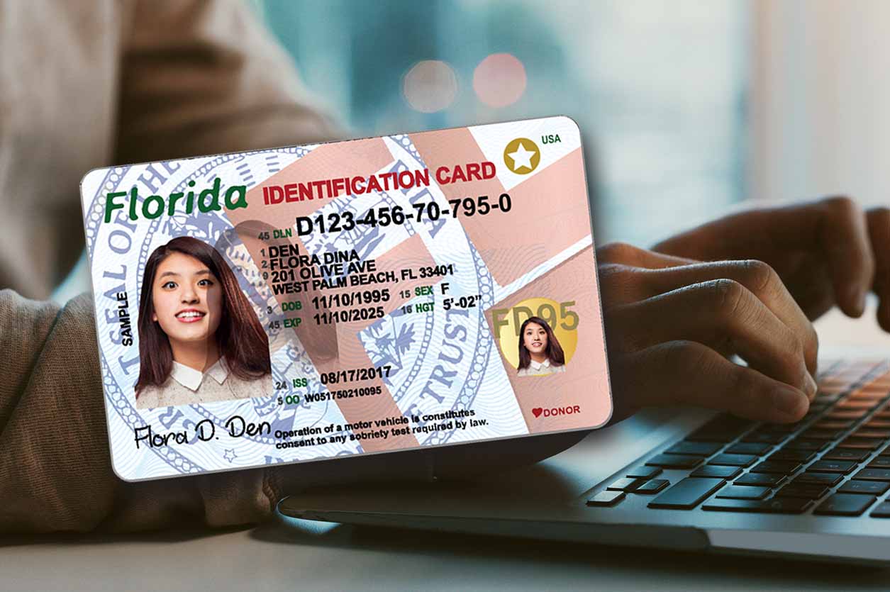 Florida’s Collectible License Cards