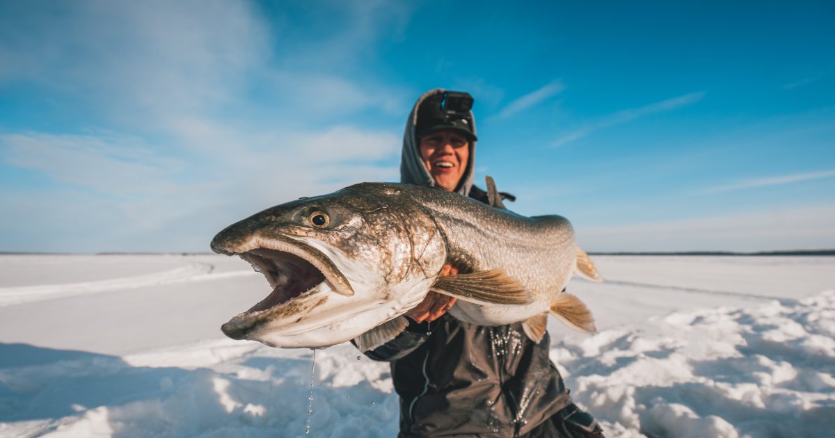 Manitoba Fishing License Guide